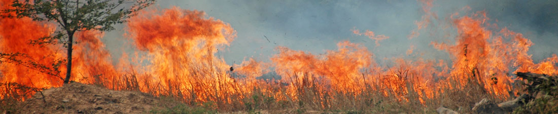 The Burning Fields of Cambodia